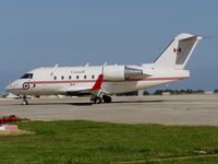 144618 @ LMML - Canadair C144 144618 Canadian Armed Forces - by raymond