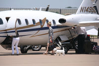 N149SL @ AFW - Puppy dog gets an airplane ride! At Alliance Airport - Fort Worth, TX