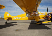 F-GUSY photo, click to enlarge
