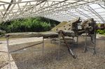 670071 - unrestored remains of a Focke-Wulf Fw 190F-3 wreck (forward fuselage and wings) at the Flugplatzmuseum Cottbus (Cottbus airfield museum)