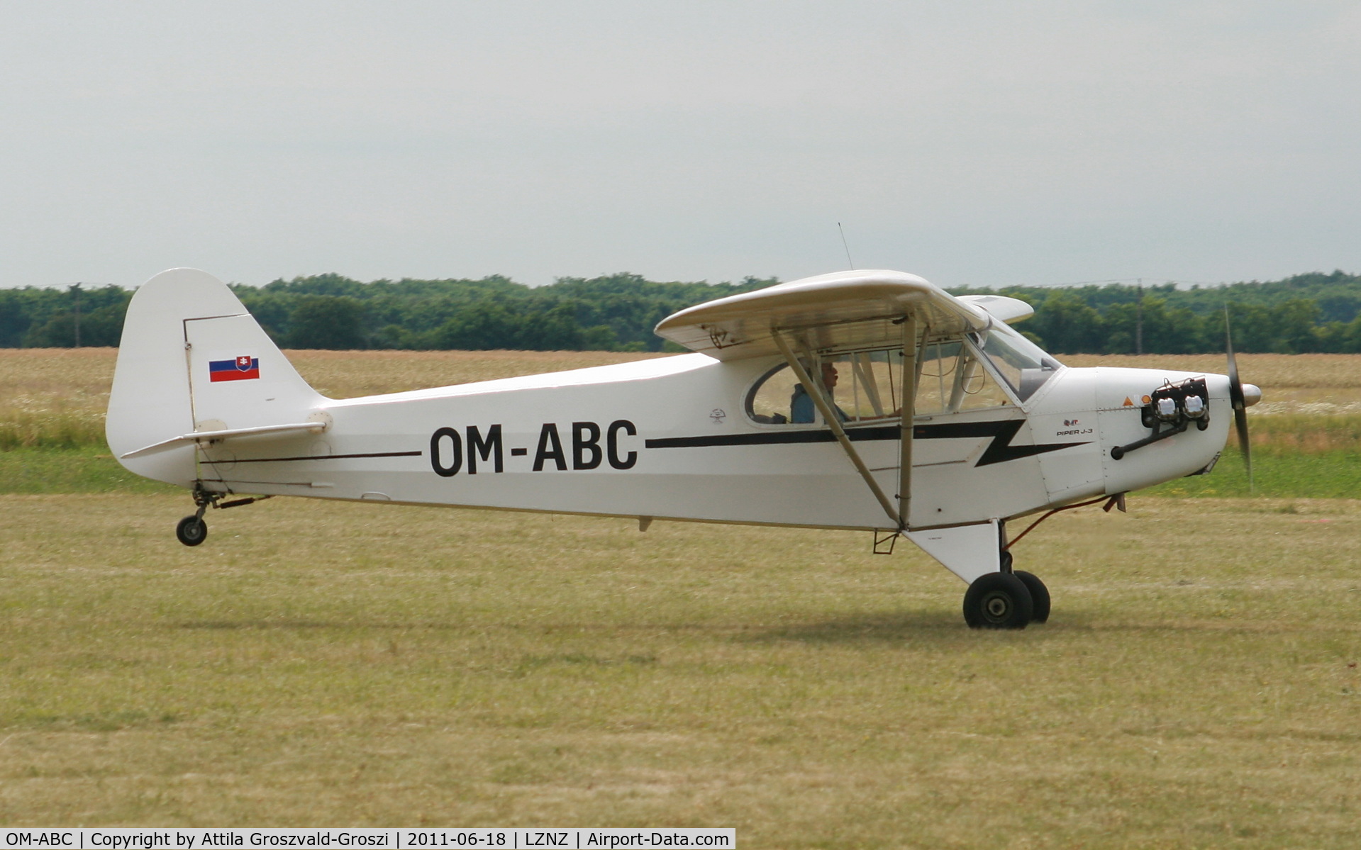 OM-ABC, Piper J3C-65 Cub C/N 190907, Nové Zámky Airport - Slovakia