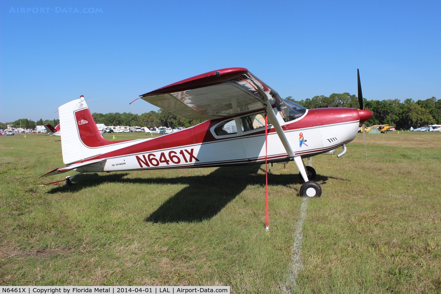 N6461X, 1960 Cessna 180D C/N 18050961, Cessna 180D