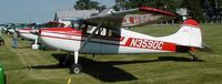N3590C @ KGEZ - Shelbyville,IN - by Collin Gyenes