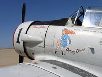 N3169G @ MER - Closeup of Daring Diane nose art on Carter Clark's AT-6F #1 - by Steve Nation