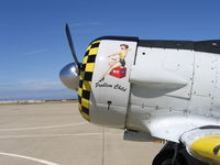 N817TX @ MER - Close-Up of Problem Child nose art on Richard Martin's AT-6D - by Steve Nation