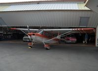 N5038G @ SZP - 1979 Bellanca 7GCAA CITABRIA, Lycoming O-320 150 Hp - by Doug Robertson