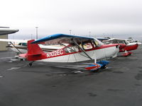N102EC @ PAO - Timothy Cotter 1978 Bellanca 8KCAB at Palo Alto, CA