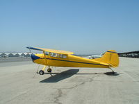 N170RS @ CCB - New Imron Paint, Cable Airport, Upland, CA - by David Watson