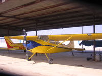 N170RS - In the Shade Hanger - by David Watson