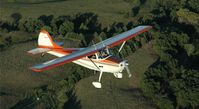 N8287A @ IA27 - 1952 Cessna 170B flying near Antique Field, Iowa. - by Dan Betzoldt