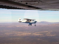N8141C - Inflight over San Pedro River, AZ - by L. Portouw