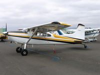 N185FT @ DVO - 1977 Cessna 185F at Gnoss Field, CA - by Steve Nation
