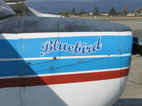 N60602 @ WVI - close-up nose - by Steve Nation