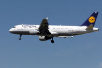 D-AIPZ @ LHR - Lufthansa Airbus A320-200 (D-AIPZ) landing at London Heathrow Airport, England in August 2004 - by Adrian Pingstone