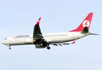 TC-JFG @ LHR - Turkish Boeing 737-800 (TC-JGF) landing at London Heathrow Airport, England in November 2005