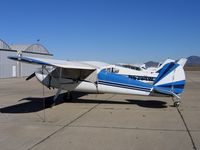 N76403 @ SDM - 1946 Cessna 140 in bright sun at Brown Field (San Diego), CA - by Steve Nation