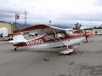N1806G @ RHV - Amelia Reid Aviation LLC 1968 Bellanca 7ECA between rainstorms at Reid-Hillview Airport, San Jose, CA - by Steve Nation