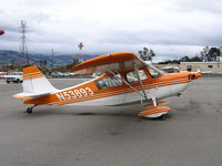 N53893 @ RHV - Amelia Reid Aviation LLC 1975 Bellanca 7ECA between rainstorms at Reid-Hillview Airport, San Jose, CA - by Steve Nation