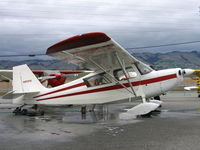 N9091L @ RHV - 1970 Champion 7ECA between rainstorms at Reid-Hillview Airport, San Jose, CA - by Steve Nation