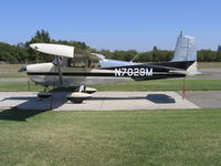 N7029M @ O23 - 1958 Cessna 175 (straight tail) at Ranchaero Airport, Chico, CA - by Steve Nation