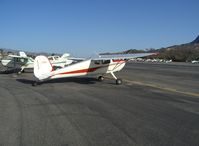 N326DW @ SZP - 1946 Cessna 140, Continental O-200 100 Hp upgrade, Gorgeous exterior appearance! - by Doug Robertson