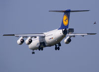 D-AVRP @ KRK - birds activity - by Pawel Kleszcz