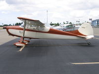 N1916C @ RHV - 1953 Cessna 170Bat Reid-Hillview Airport, San Jose, CA - by Steve Nation