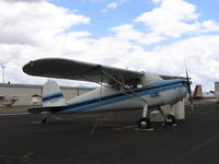 N72425 @ RHV - 1946 Cessna 120 at Reid-Hillview Airport, San Jose, CA - by Steve Nation