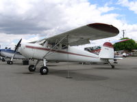 N77143 @ RHV - 1946 Cessna 140 at Reid-Hillview Airport, San Jose, CA - by Steve Nation