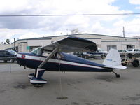 N2512K @ RHV - Cirrus Group LLC 1947 Luscombe 8E at Reid-Hillview Airport, San Jose, CA - by Steve Nation