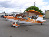 N53893 @ RHV - Amelia Reid Aviation 1975 Bellanca 7ECA at Reid-Hillview Airport, San Jose, CA - by Steve Nation
