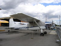 N31YH @ RHV - 1981 Cessna A185F at Reid-Hillview Airport, San Jose, CA - by Steve Nation