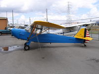 N47348 @ RHV - 1943 Taylorcraft DCO-65 painted as USAAC L-4M with NC47348 at Reid-Hillview Airport, San Jose, CA - by Steve Nation