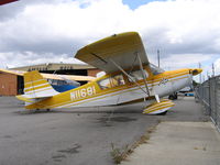 N11681 @ RHV - Amelia Reid Aviation 1972 Bellanca 7KCAB with wings at Reid-Hillview Airport, San Jose, CA - by Steve Nation