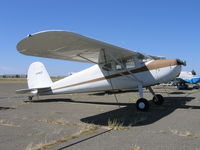 N3762V @ VCB - 1949 Cessna 140 at Nut Tree Airport, Vacaville, CA - by Steve Nation