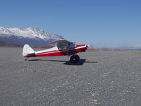 N8894D - 31 Bushwheels - by Bill Granger