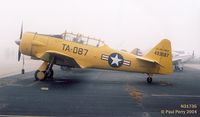 N3173G @ PVG - Foggy backdrop for a bright bird