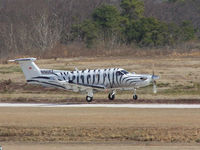 N565EZ @ PDK - Landing PDK on 20L - by Michael Martin