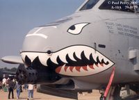 79-0179 @ GSB - All the Warthogs of the 23rd Fighter Group sport this fine paintjob