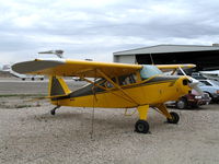 N9549D @ L65 - 1958 Piper PA-22 at Perris Valley, CA - by Steve Nation