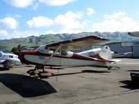 N1916C @ RHV - 1953 Cessna 170B in bright sunshine at Reid-Hillview Airport (San Jose), CA - by Steve Nation