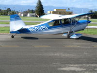 N5032G @ RHV - Ameilia Reid Avn 1978 Bellanca 7ECA taxying at Reid-Hillview Airport (San Jose), CA - by Steve Nation