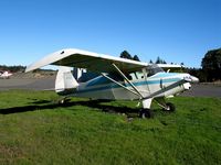 N6755B @ 2O3 - 1956 Piper Pa-22-150 Pacer at Parrett Field (Angwin), CA - by Steve Nation