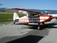 N6876K @ WVI - 1949 Piper PA-16 at Watsonville, CA - by Steve Nation