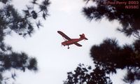 N358C - Catching a quick peek between the trees