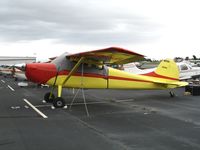 N5596C @ HWD - Colorful 1955 Cessna 170A at stormy Hayward Air Terminal, CA - by Steve Nation
