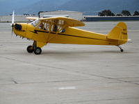 N73BB @ SNS - Emerald Coast 1946 Piper J3C-65 Cub at Salinas, CA - by Steve Nation