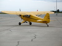 N73BB @ SNS - Emerald Coast 1946 Piper J3C-65 Cub at Salinas, CA - by Steve Nation