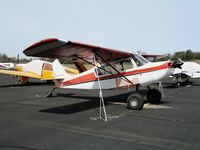 N68564 @ AUN - 1972 Bellanca 7GCB with oversized tires and minus rudder at Auburn Municipal Airport, CA - by Steve Nation