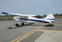 N2915D @ AUN - 1955 Cessna 170B at Auburn Municipal Airport, CA - by Steve Nation